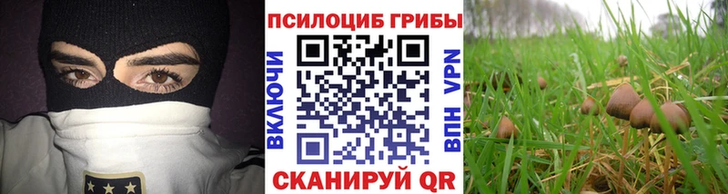 Галлюциногенные грибы мицелий Лысково